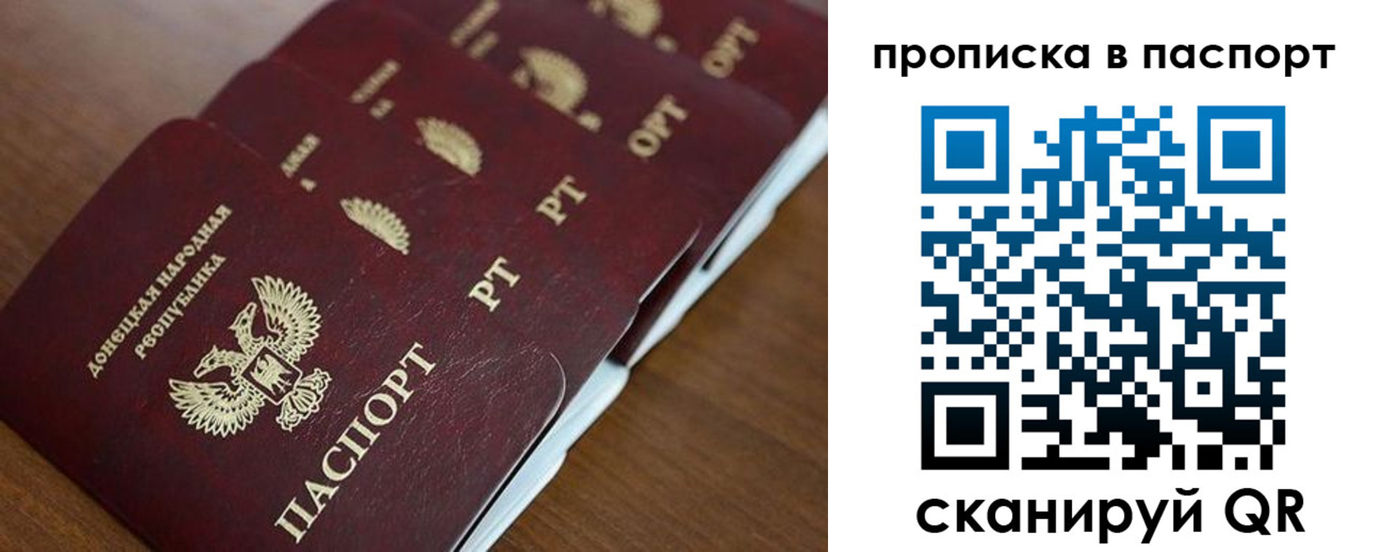 прописка паспорт в Ельне